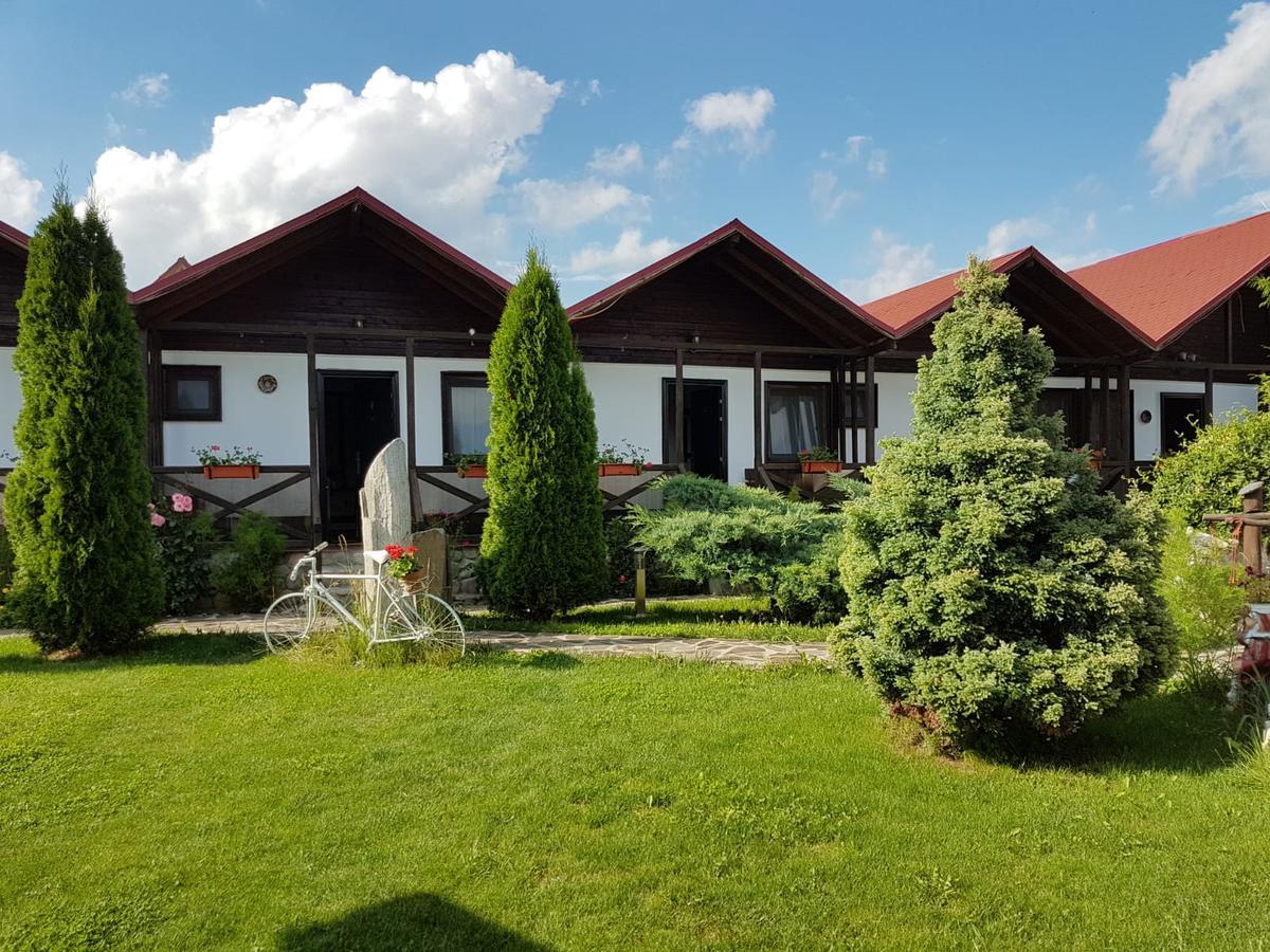 Pensiunea Valea Argesului Albestii Paminteni Exterior photo