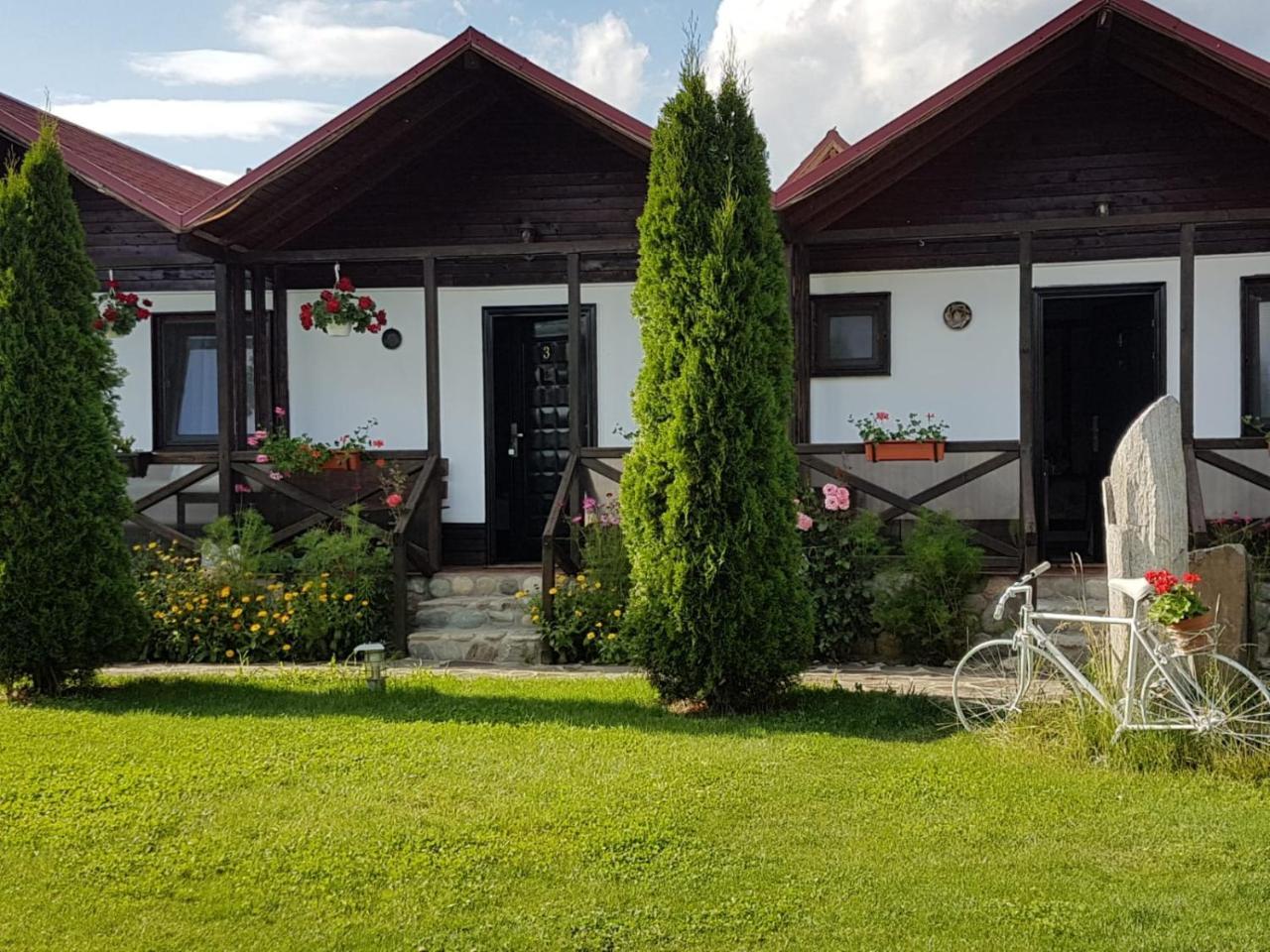 Pensiunea Valea Argesului Albestii Paminteni Exterior photo