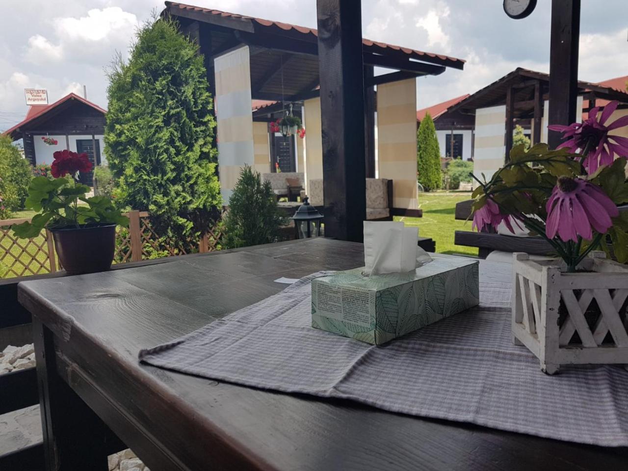 Pensiunea Valea Argesului Albestii Paminteni Exterior photo